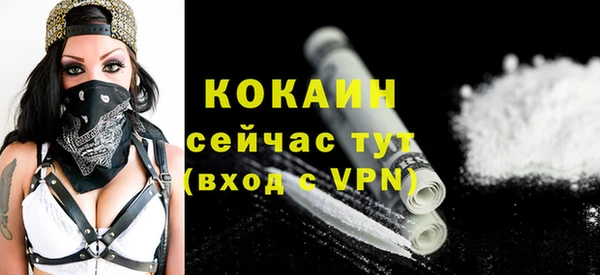 шишки Бородино