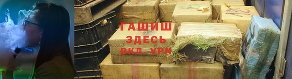 ECSTASY Богданович