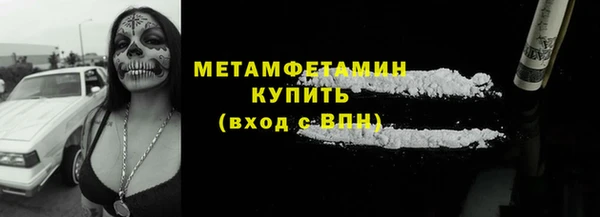 шишки Бородино