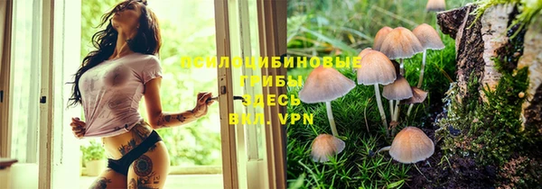 амф Бронницы