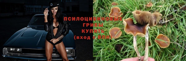 ECSTASY Богданович