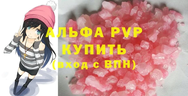 ECSTASY Богданович