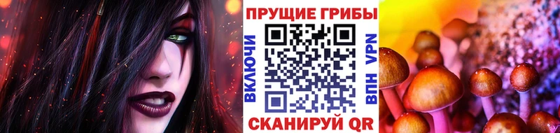 blacksprut маркетплейс Кизел Псилоцибиновые грибы прущие грибы